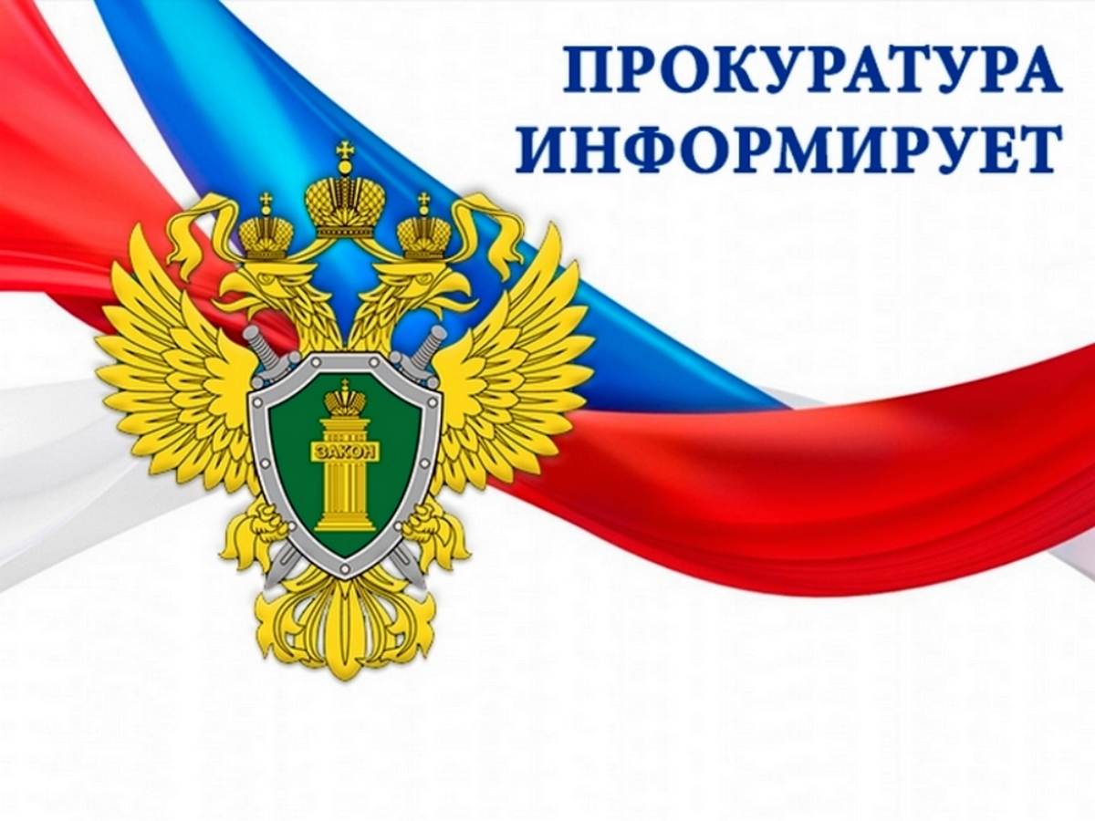 Курчатовская межрайонная прокуратура выявила нарушения при внесении сведений в информационную систему о сделках с древесиной.